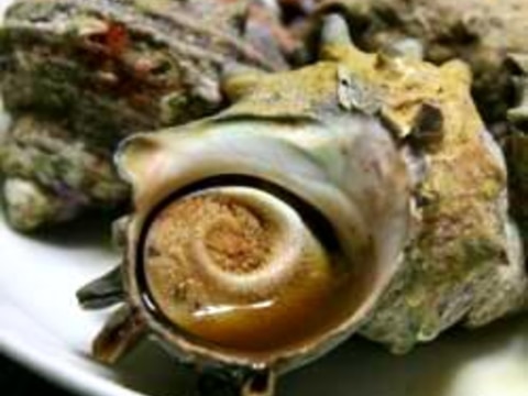 魚焼きグリルで7分♪サザエの壺焼き